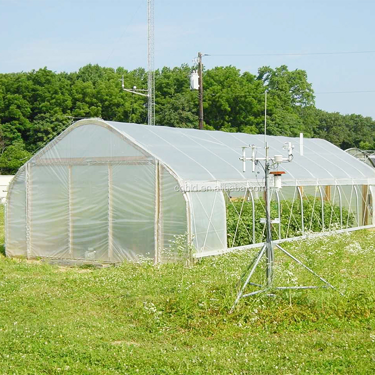 8x30 Metal Frame Commercial Si - Agriculture Tomato Farming incelemesi ve fiyatı