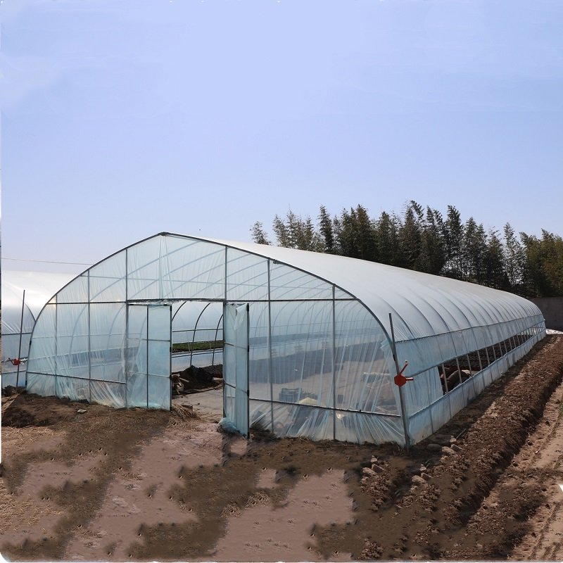 8x30 Metal Frame Commercial Si - Agriculture Tomato Farming incelemesi ve fiyatı