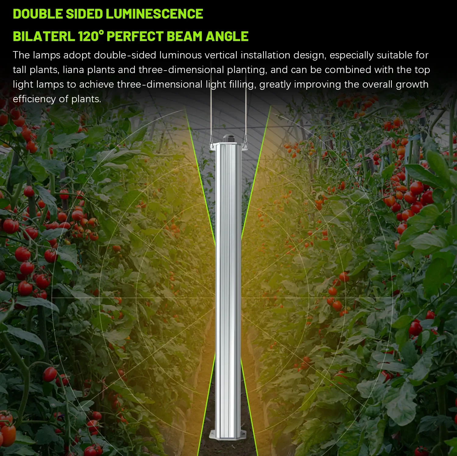 Best ETL Listed Plant Green Wa - Agriculture Tomato Farming incelemesi ve fiyatı