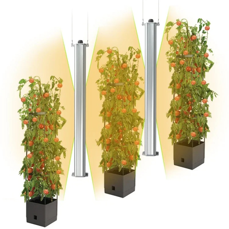 Best ETL Listed Plant Green Wa - Agriculture Tomato Farming incelemesi ve fiyatı