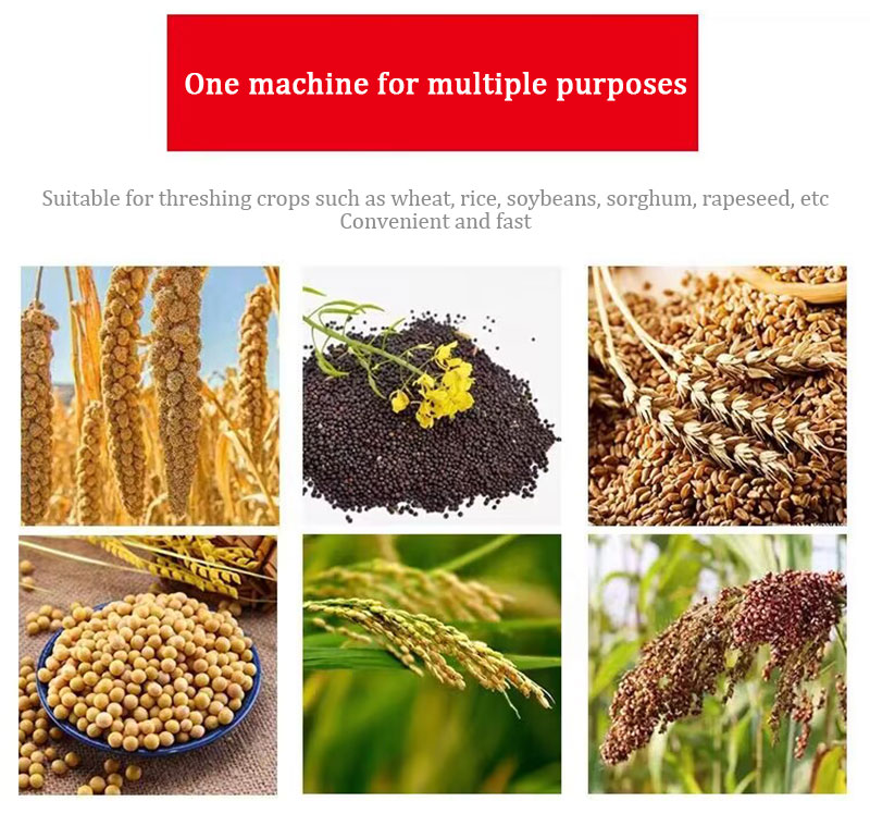 Corn Rice Wheat Maize Bean Thr - Rice Thresher Machine incelemesi ve fiyatı