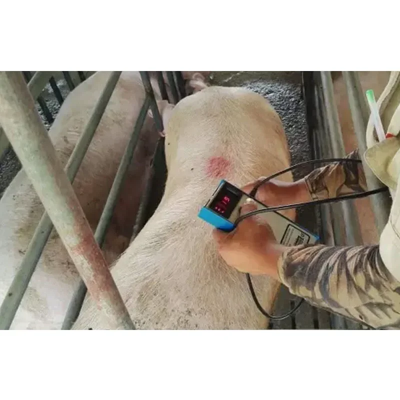 Precision Pig Back Fat Detecto - Agriculture Farming Livestock incelemesi ve fiyatı