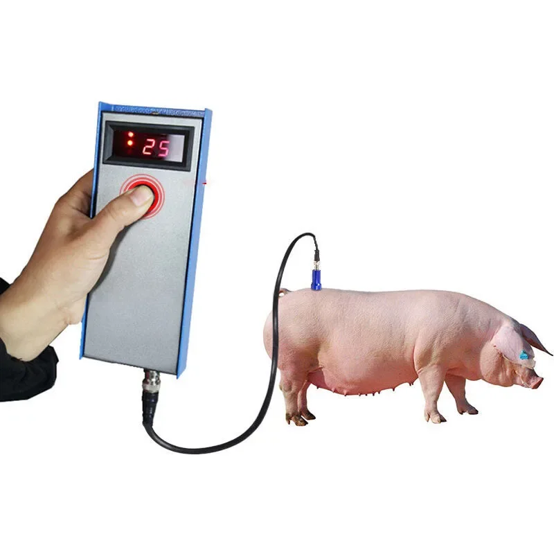Precision Pig Back Fat Detecto - Agriculture Farming Livestock incelemesi ve fiyatı