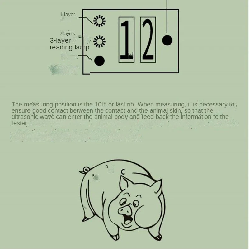 Precision Pig Back Fat Detecto - Agriculture Farming Livestock incelemesi ve fiyatı